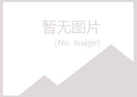 防城区白山能源有限公司